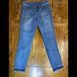 Lane Bryant Hi Rise skinny Jeans Medium Blue 14